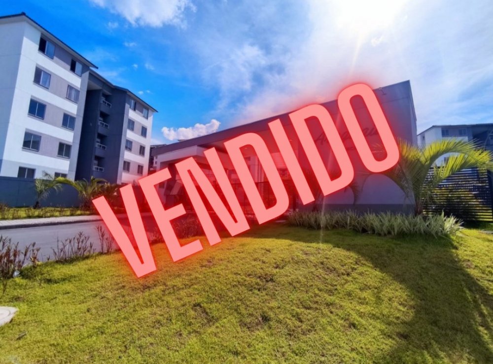 Apartamento - Venda - Monte Azul - Belo Horizonte - MG